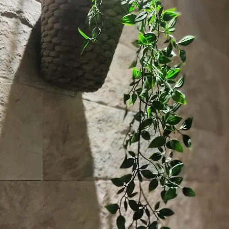 Dimora Al Saraceno Maison d'hôtes