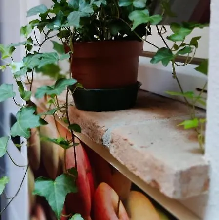 Dimora Al Saraceno 4* フェラーラ