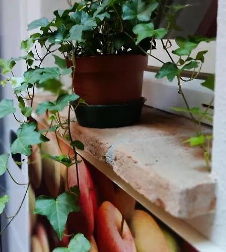 Dimora Al Saraceno 4* 페라라