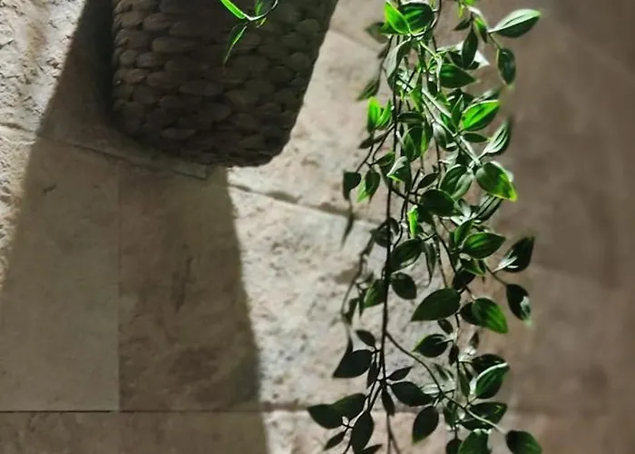 Dimora Al Saraceno 게스트하우스